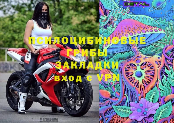 хмурый Алексеевка