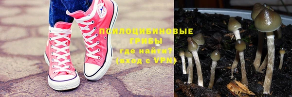 твердый Алексин